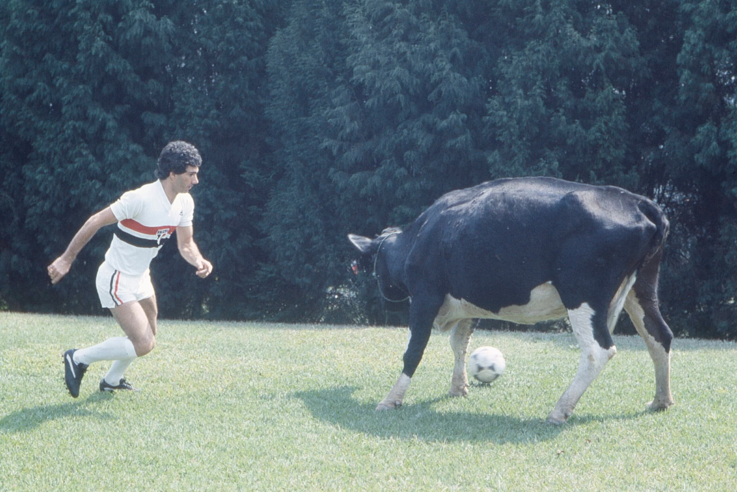De A a Z: ‘drible da vaca’ e muito mais no Abecedário da Bola