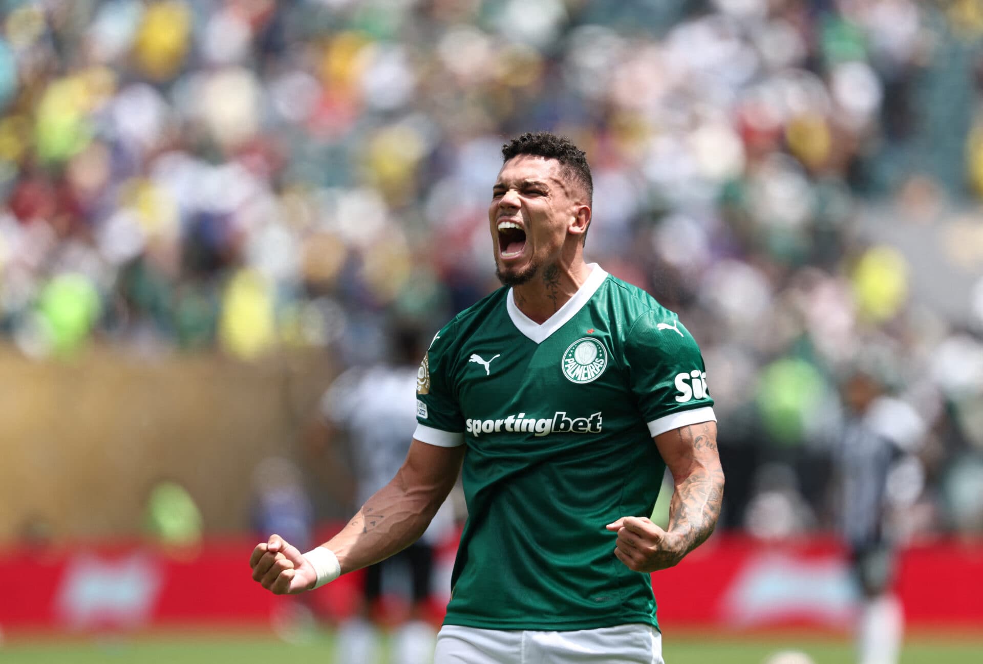 Paulinho marcou gol do Palmeiras contra o Botafogo - FRANCK FIFE / AFP)