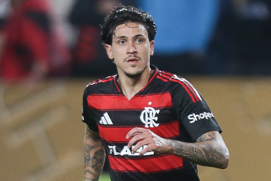 Pedro tem seis gols e três assistências em 24 jogos disputados nesta temporada - Gilvan de Souza/Flamengo