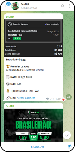 Post no canal SeuBet no Telegram com aposta pré-jogo no confronto Leeds United x Newcastle pela Premier League