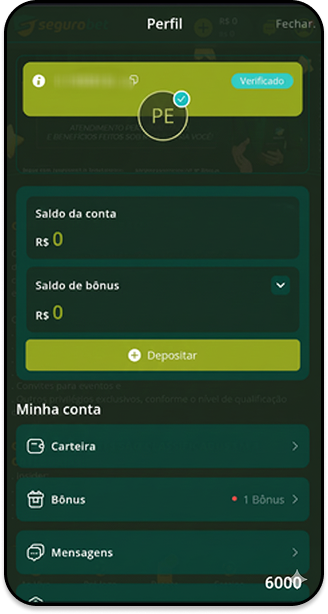 Perfil verificado na Segurobet mostrando saldo da conta, bônus e opções de carteira e depósito