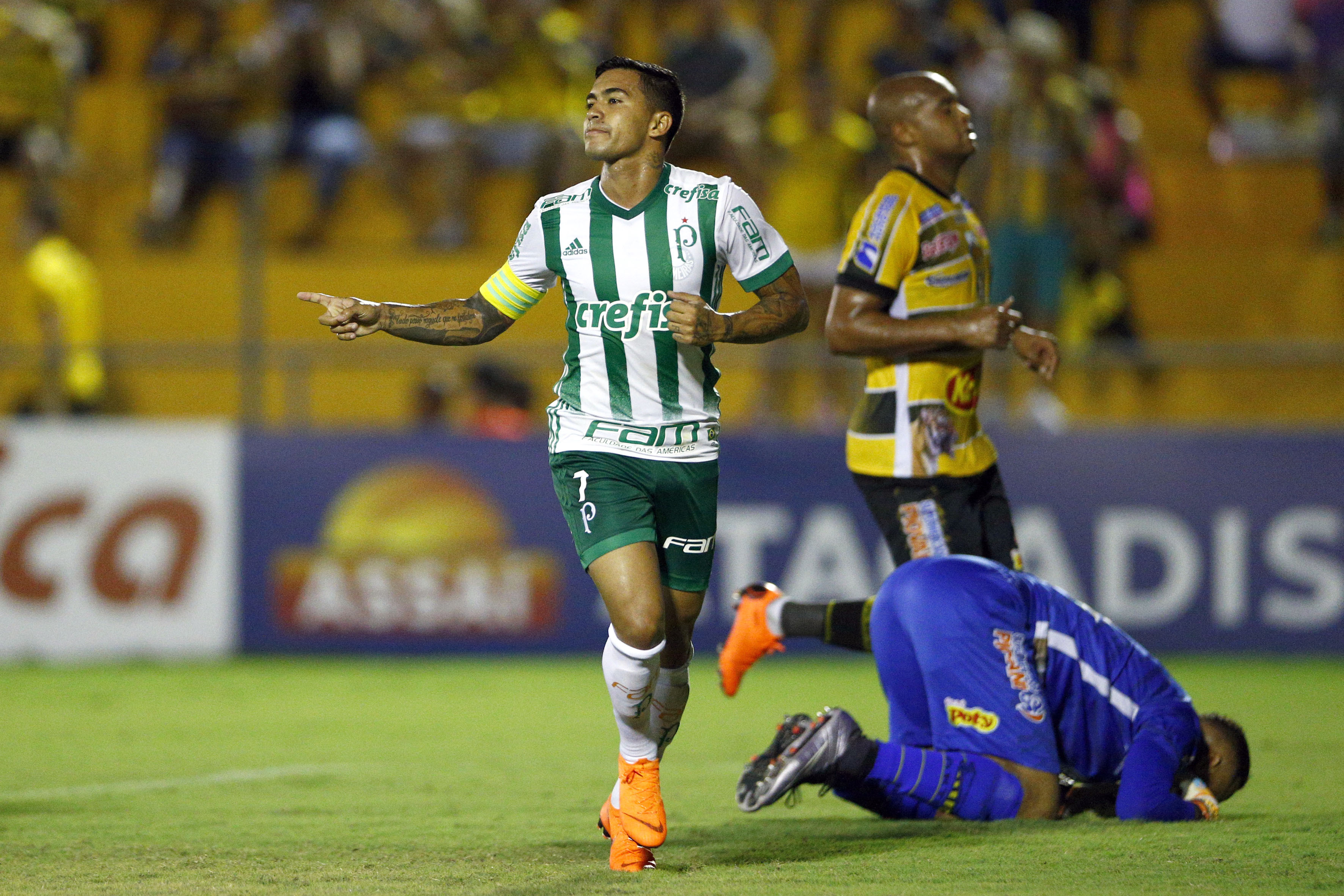 Paulistão: Palmeiras abre boa vantagem contra Novorizontino