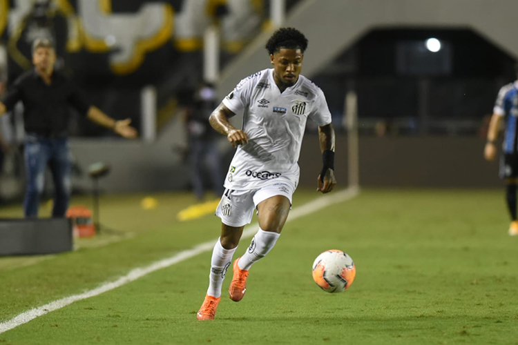 Marinho fez quatro gols em dez partidas pelo Santos na última Libertadores -