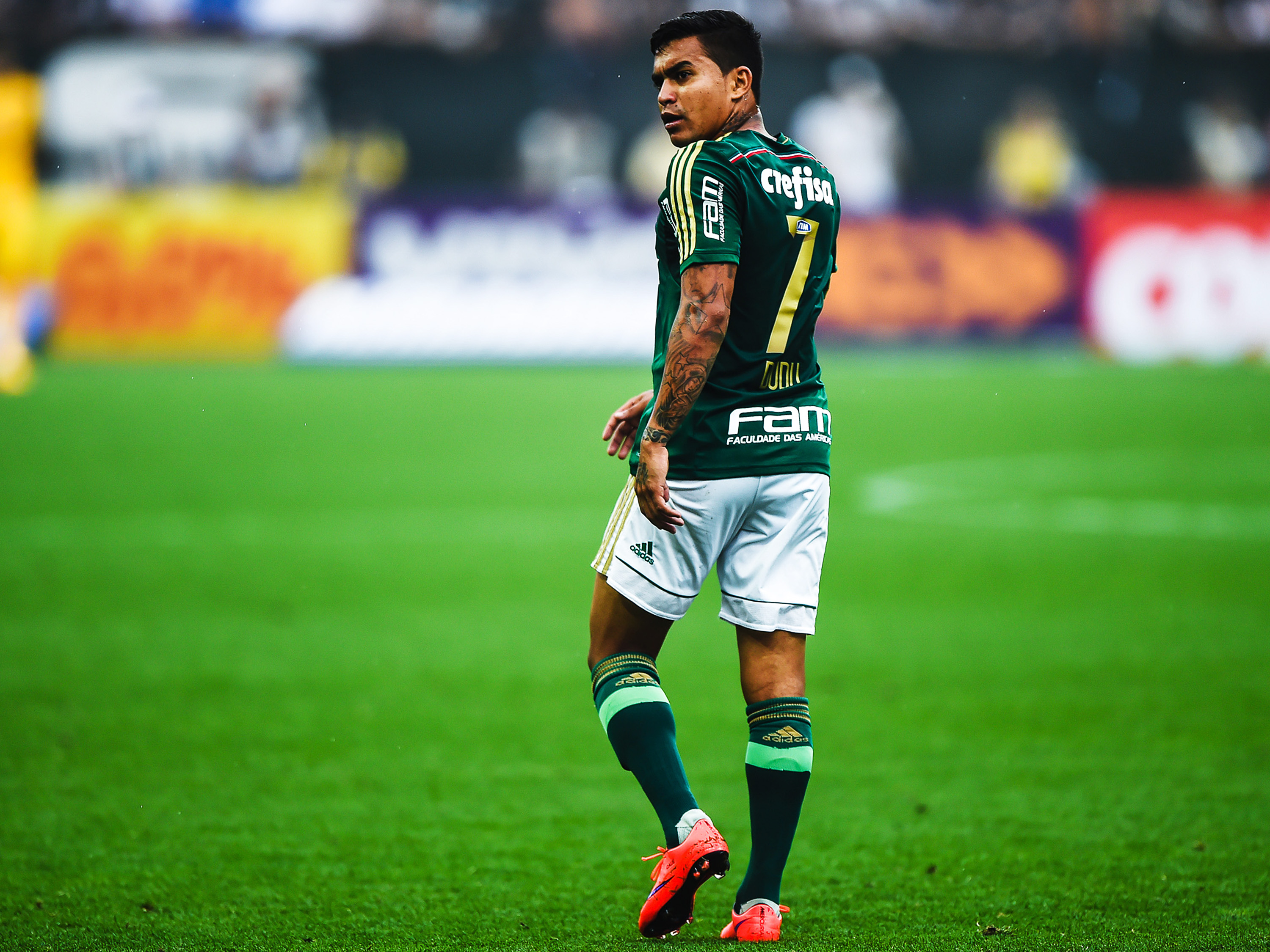 O atacante Dudu do Palmeiras