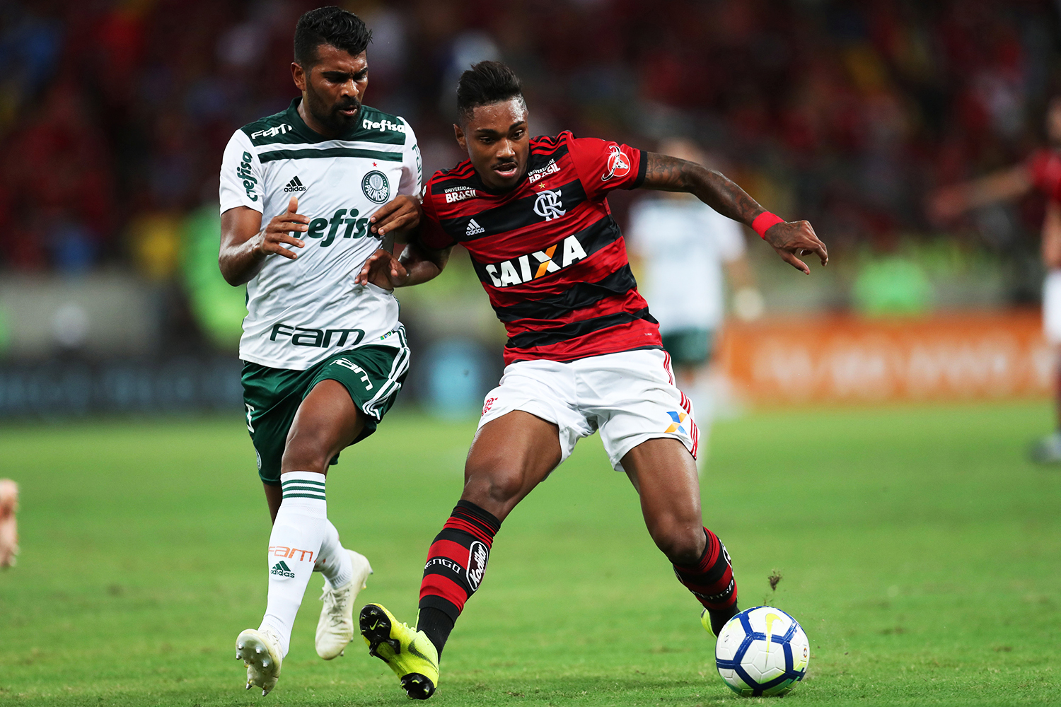 Flamengo e Palmeiras, os mais ricos do Brasil em 2019