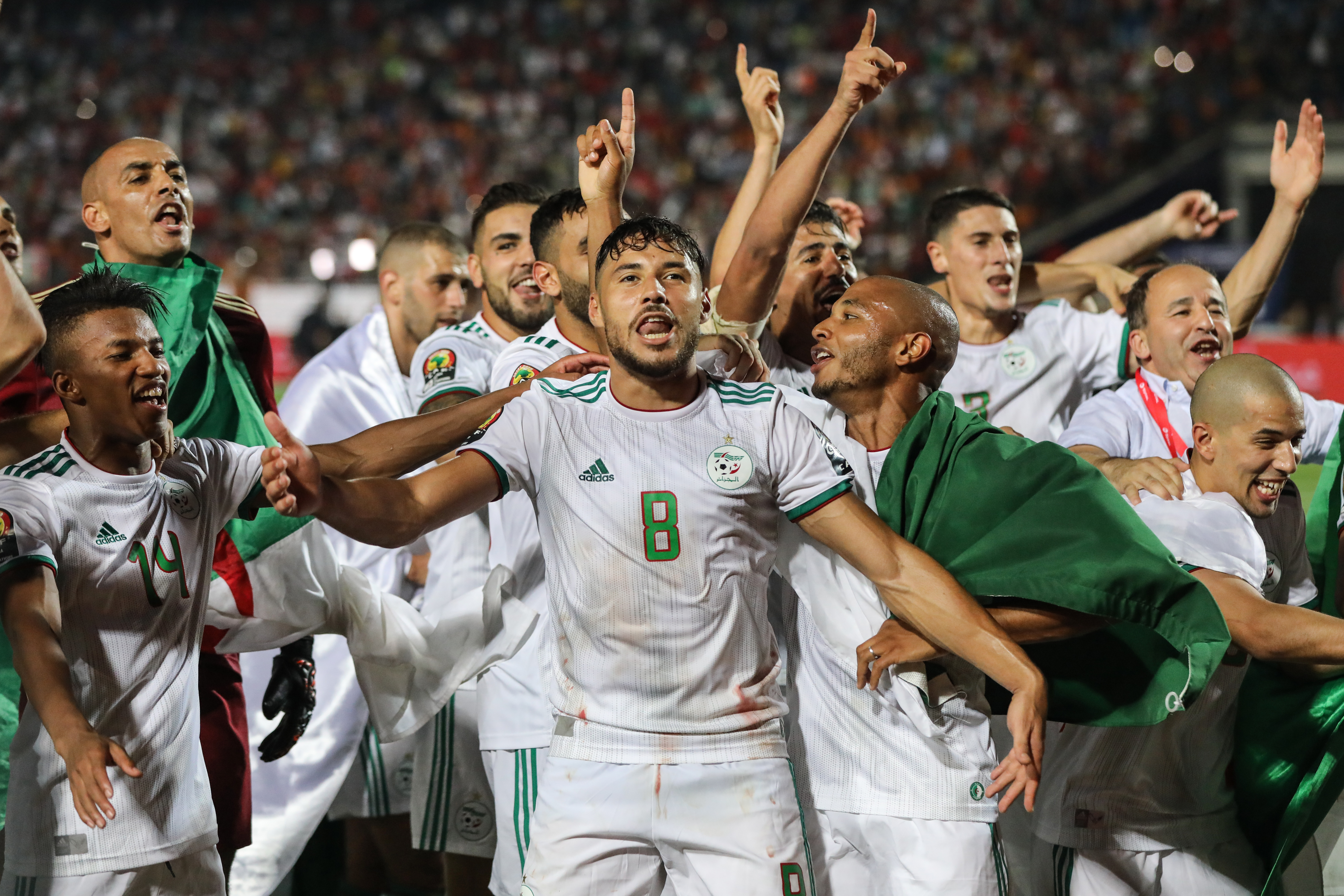 Jogadores da Argélia celebram o título da Copa da África