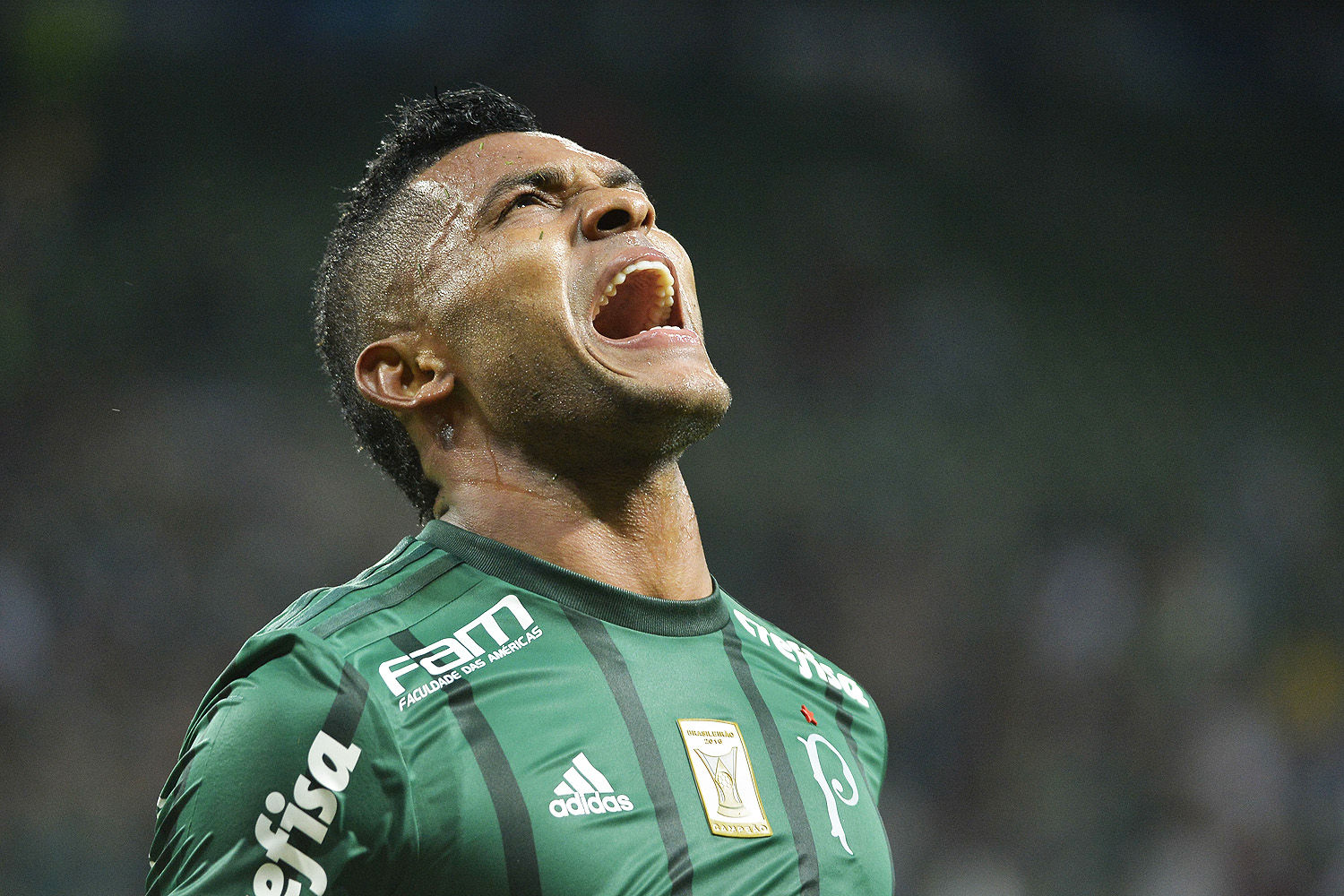 Borja: ‘Confiem em mim, vou vencer no Palmeiras’
