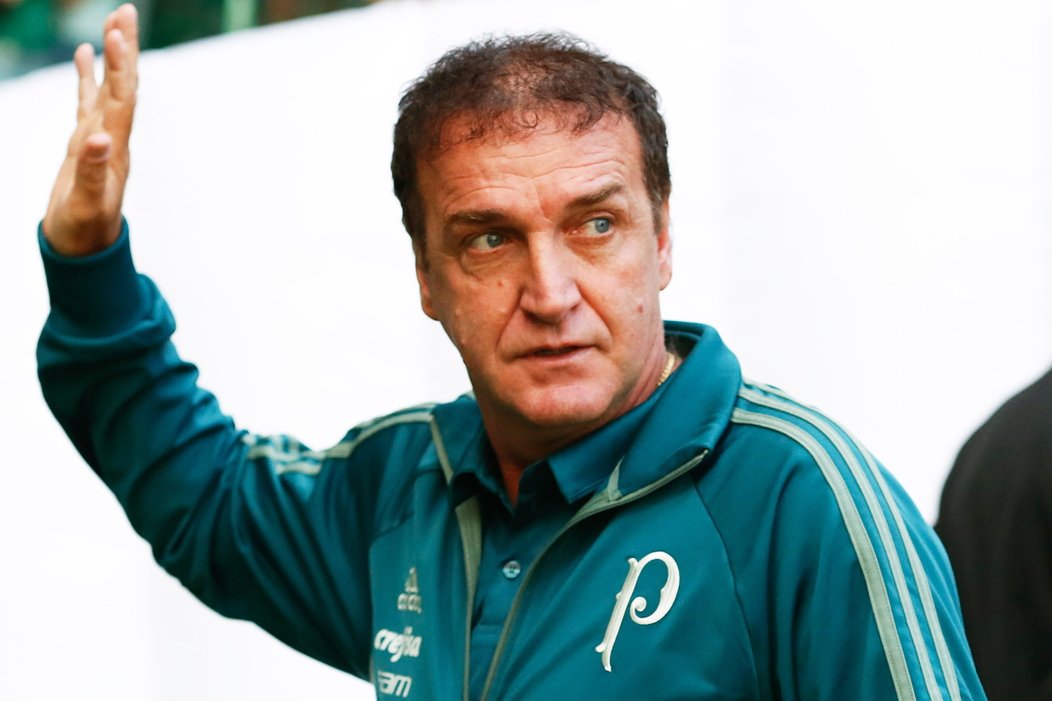 Cuca deixou o Palmeiras após seu primeiro título brasileiro -
