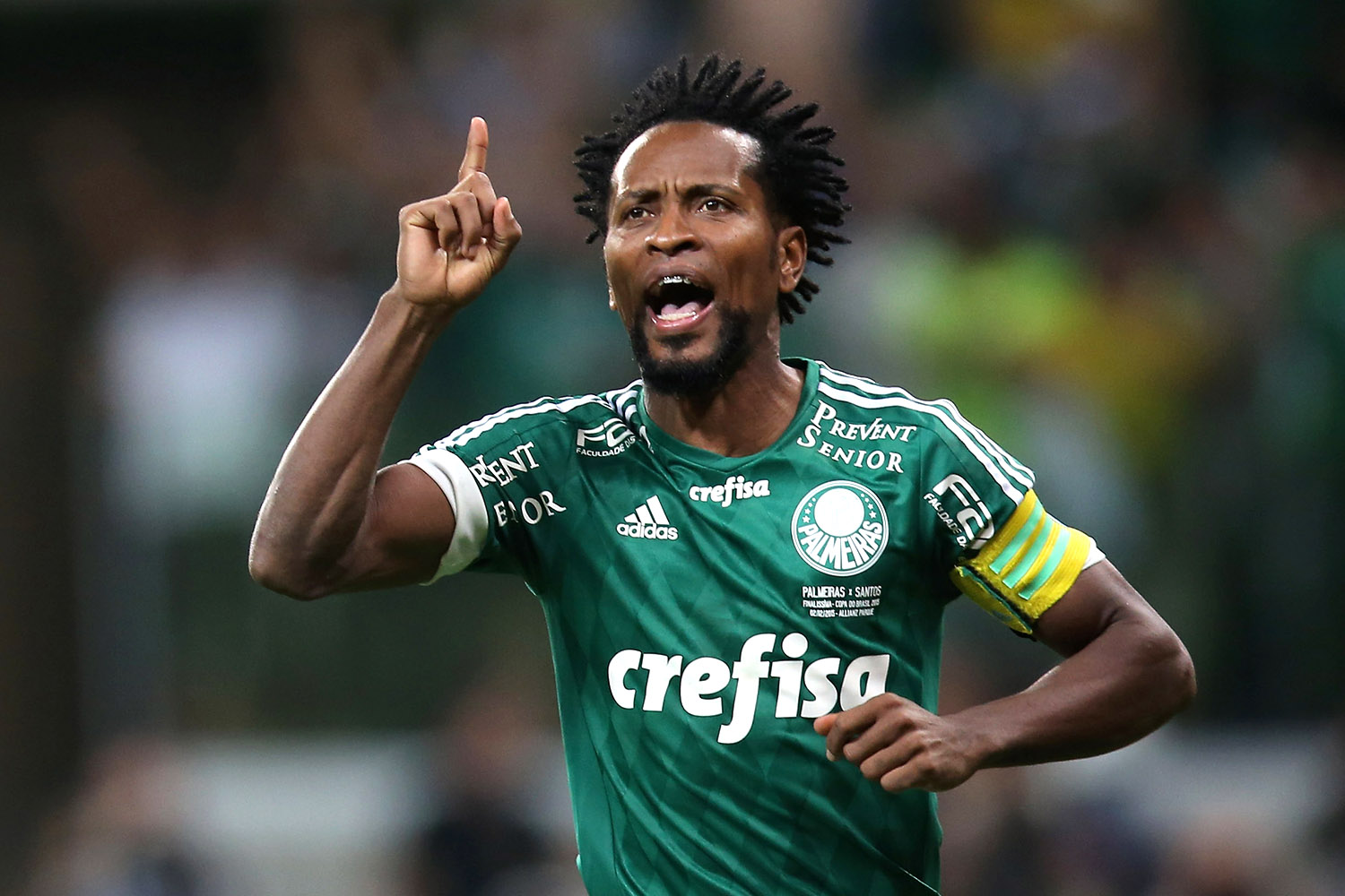 Palmeiras anuncia Zé Roberto como ‘assessor técnico’ para 2018