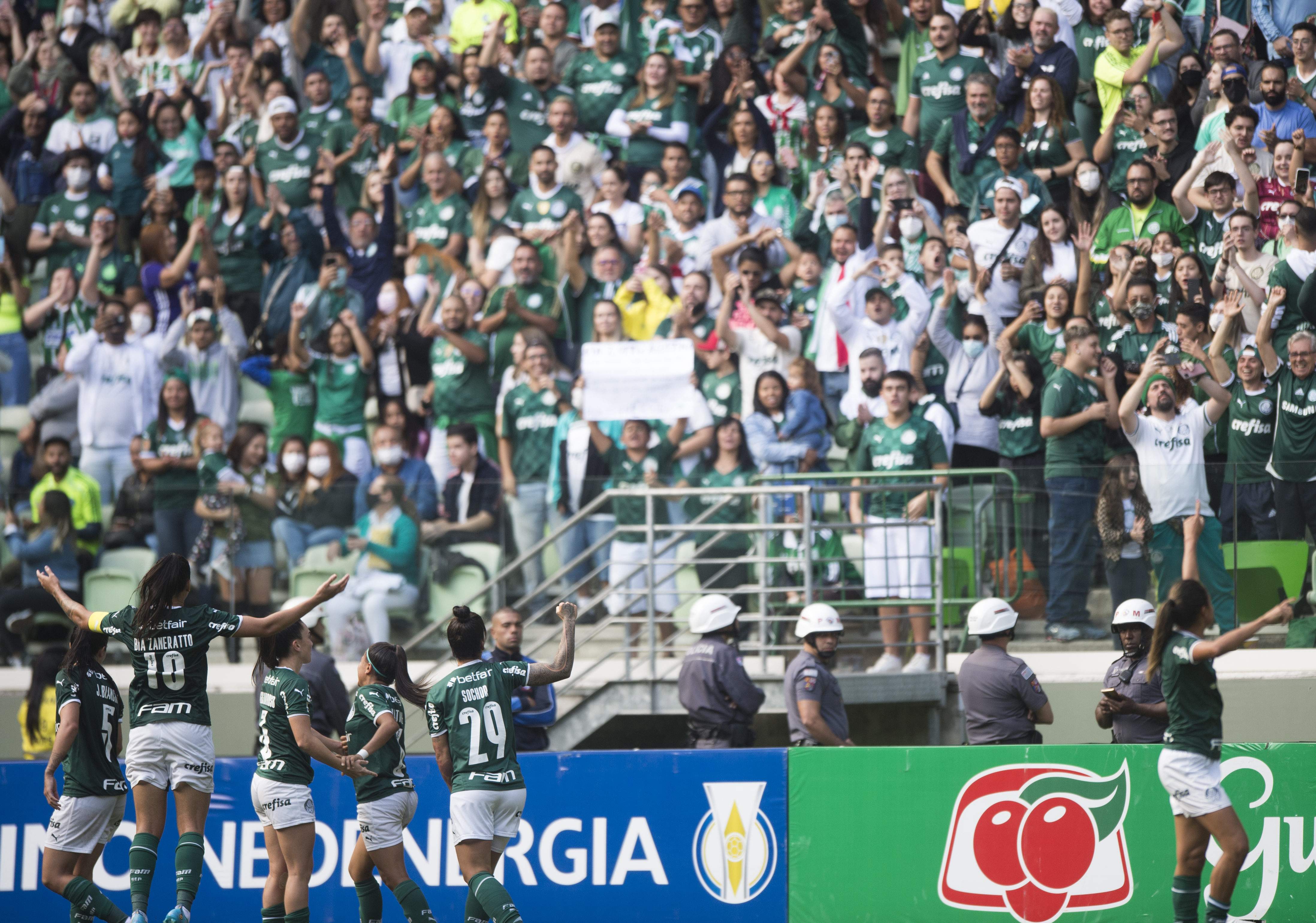 Palmeiras vence Santos e é campeão do Paulista feminino em final com  recorde de público no Allianz