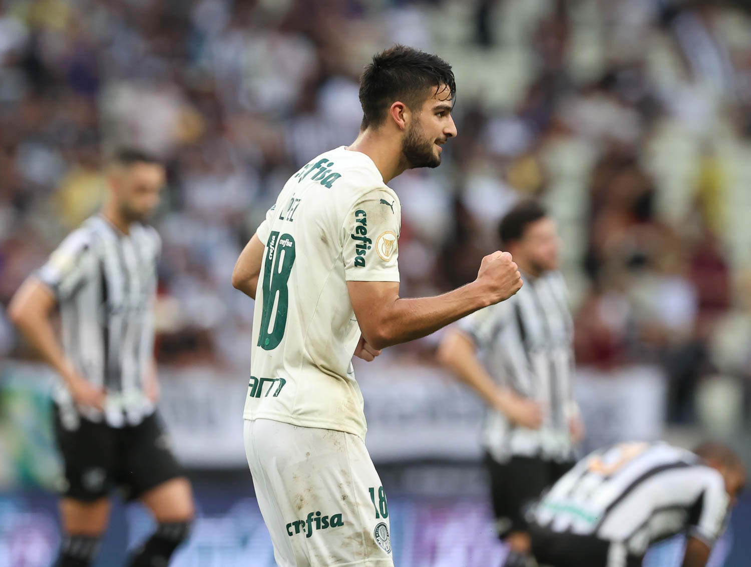 Cesar Greco / Palmeiras