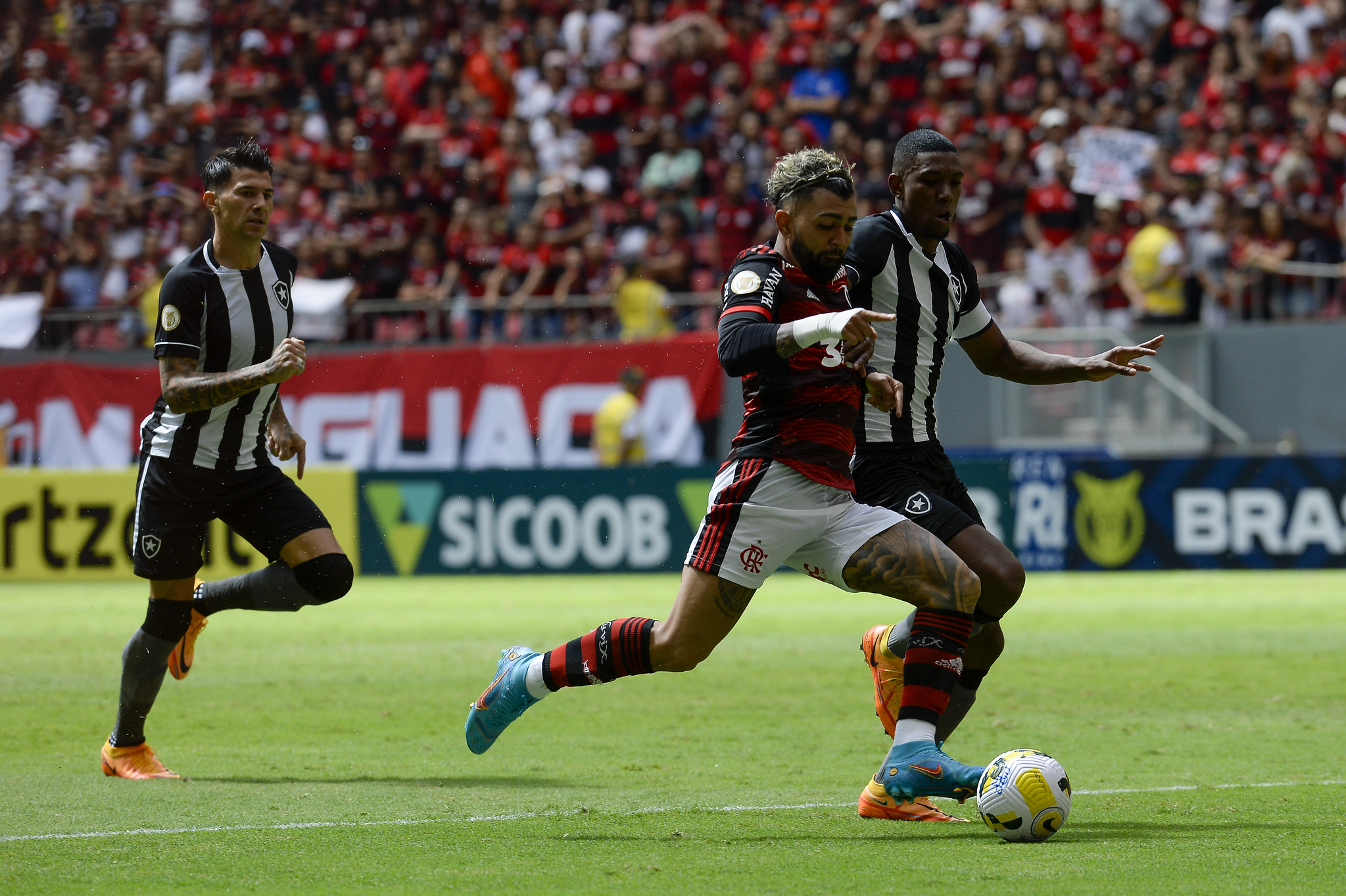 Flamengo x Corinthians: onde assistir ao Brasileirão nesta quarta-feira -  Placar - O futebol sem barreiras para você