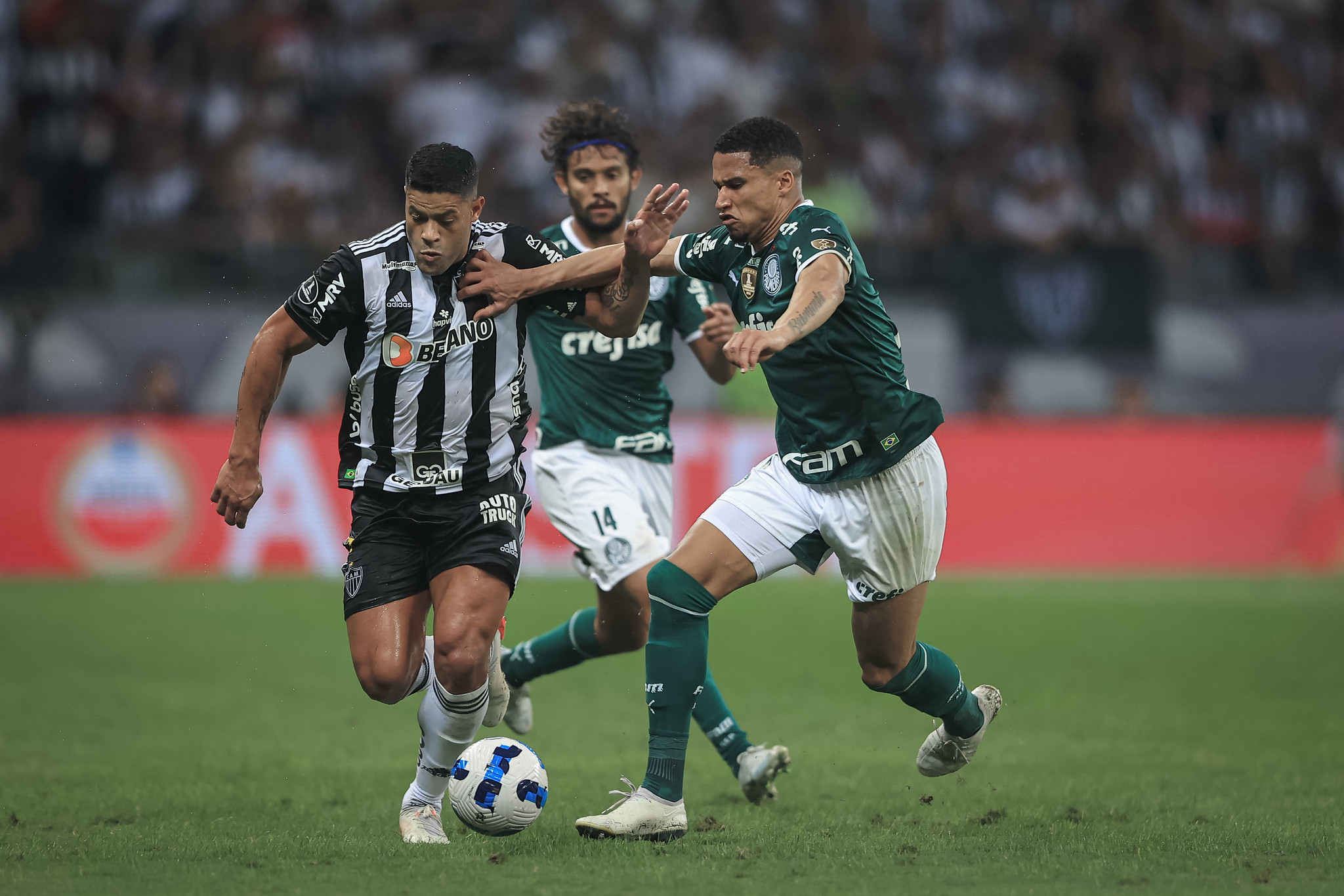 Palmeiras x Atlético-MG: onde assistir, horário e escalações da