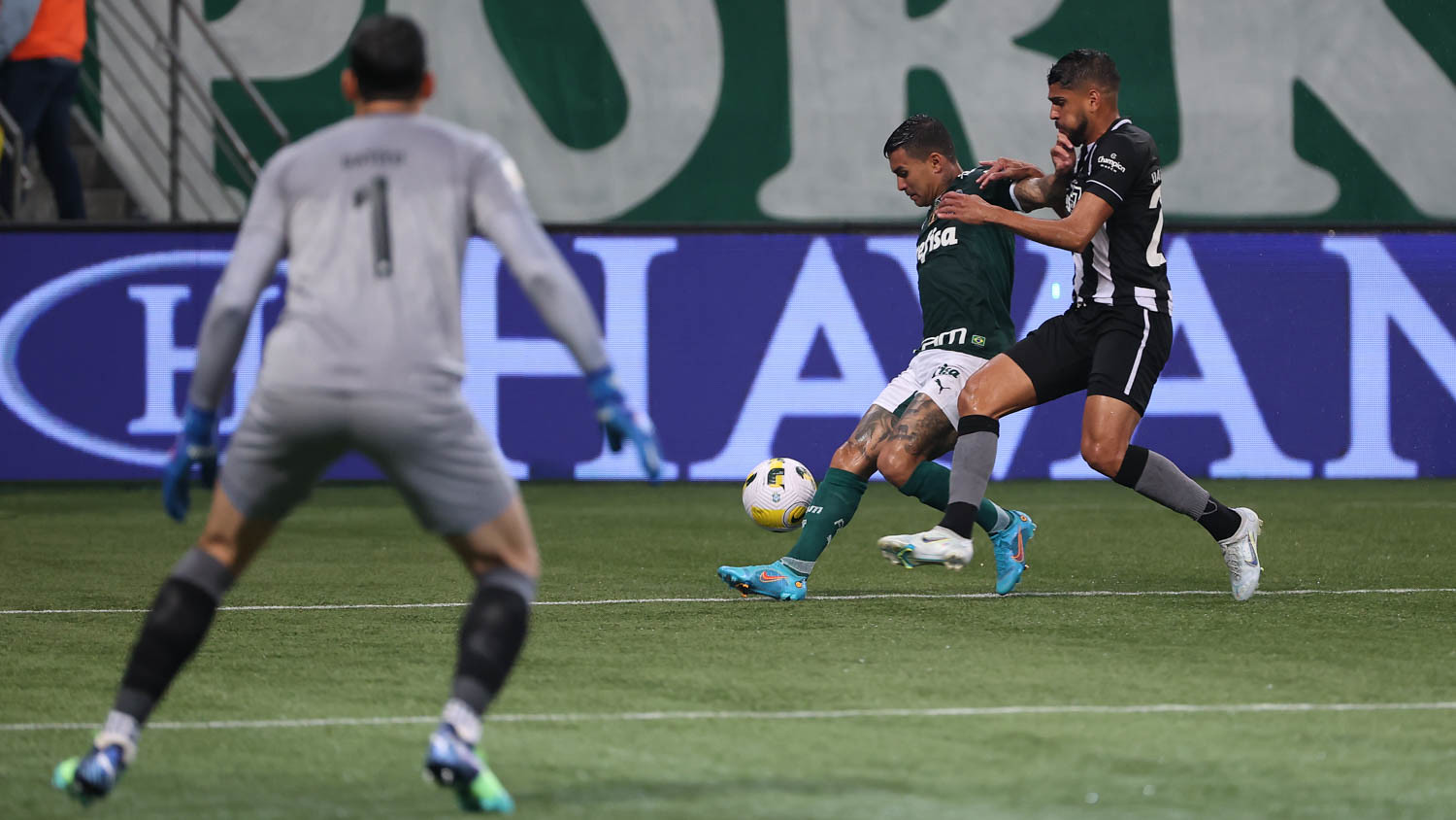 Botafogo x Palmeiras: onde assistir ao Brasileirão nesta segunda-feira