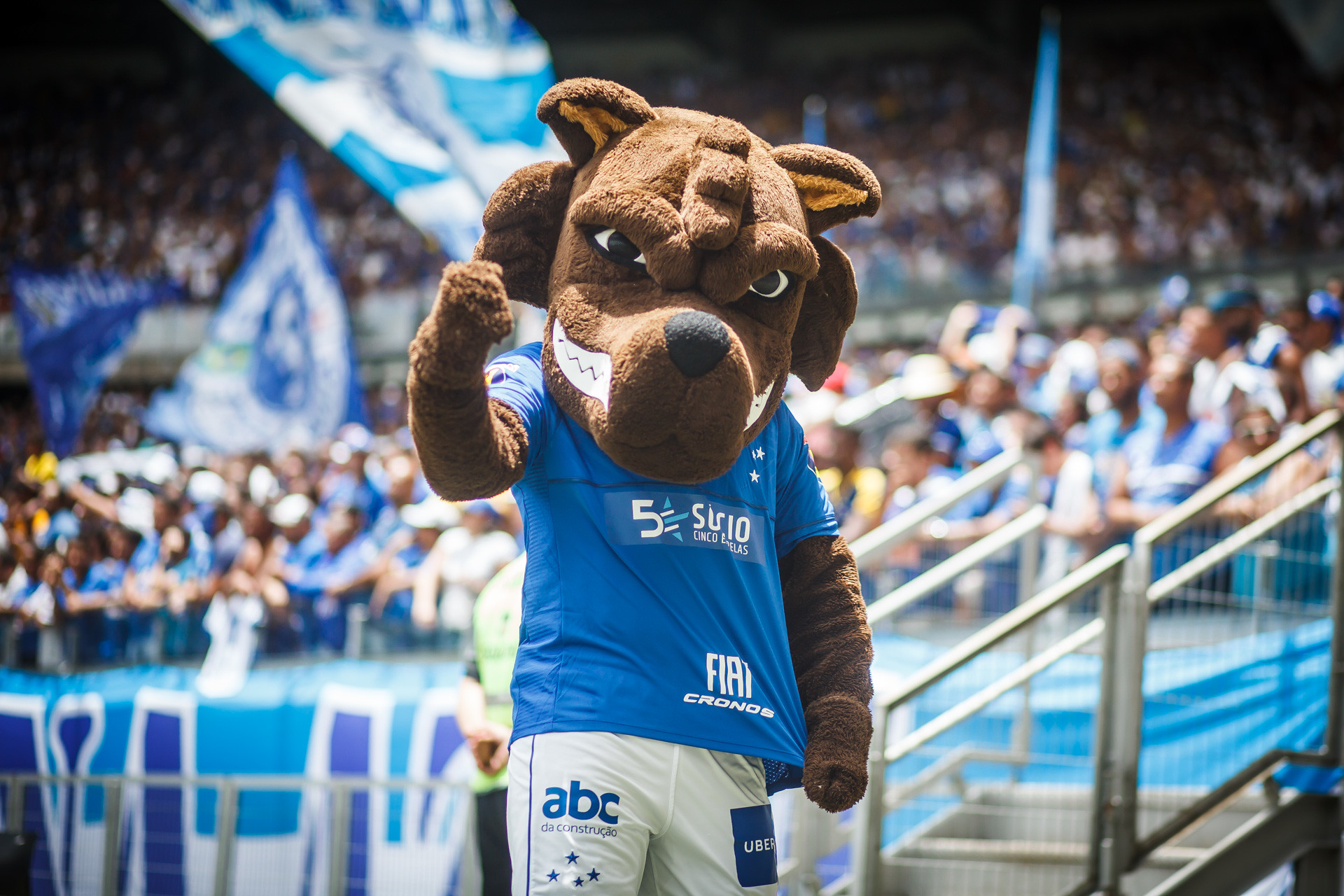 Antigo mascote Raposão, no Mineirão