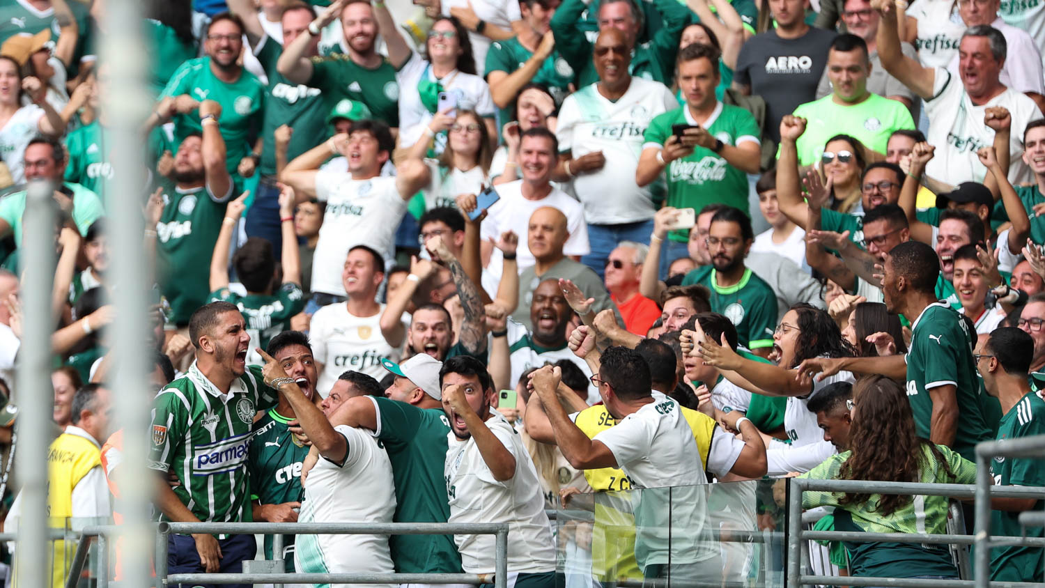 Torcida do Palmeiras ultrapassa a do São Paulo em nova pesquisa