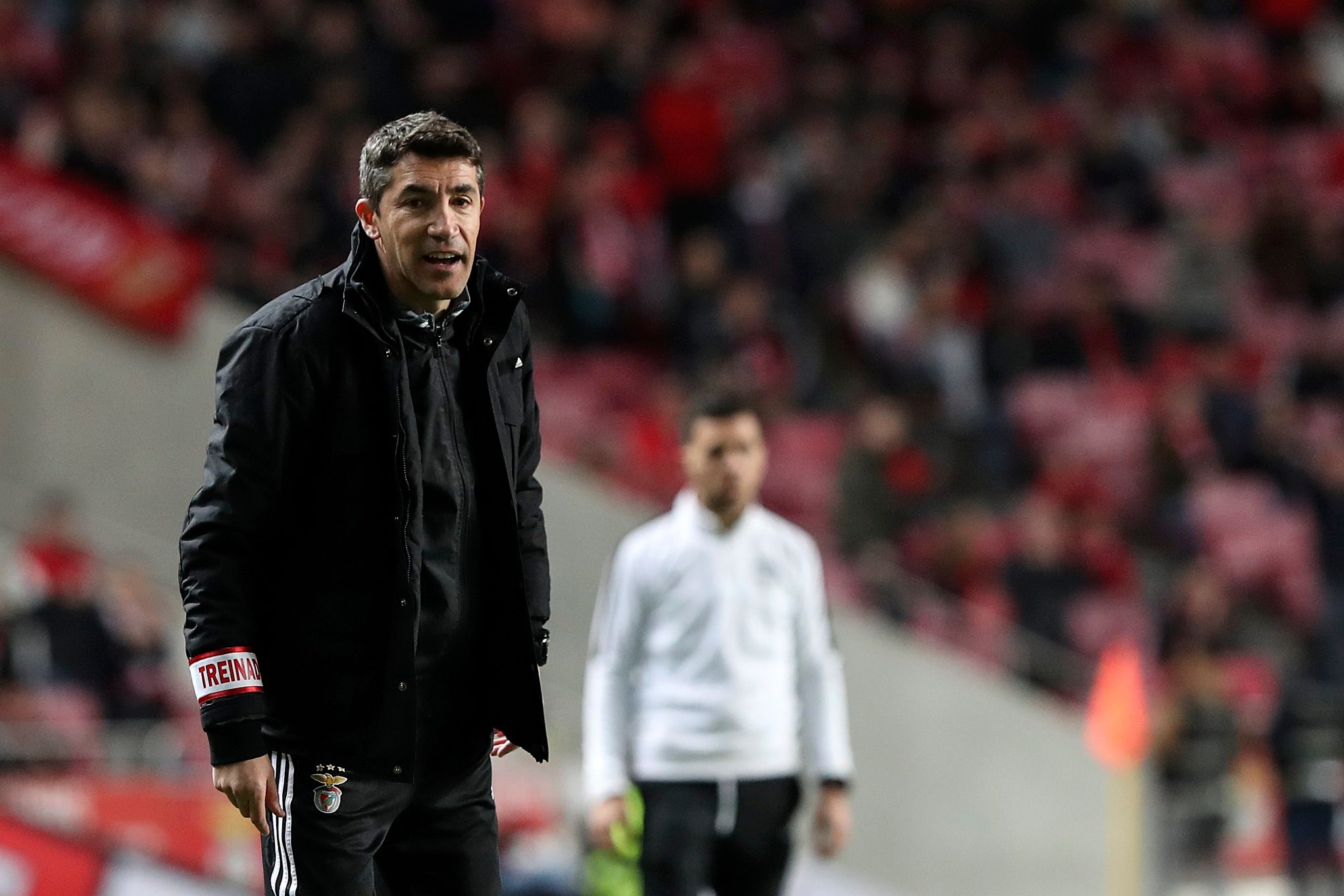 Lage, Ceni, Gallardo, Alonso…: as opções para o Botafogo repor Luís Castro