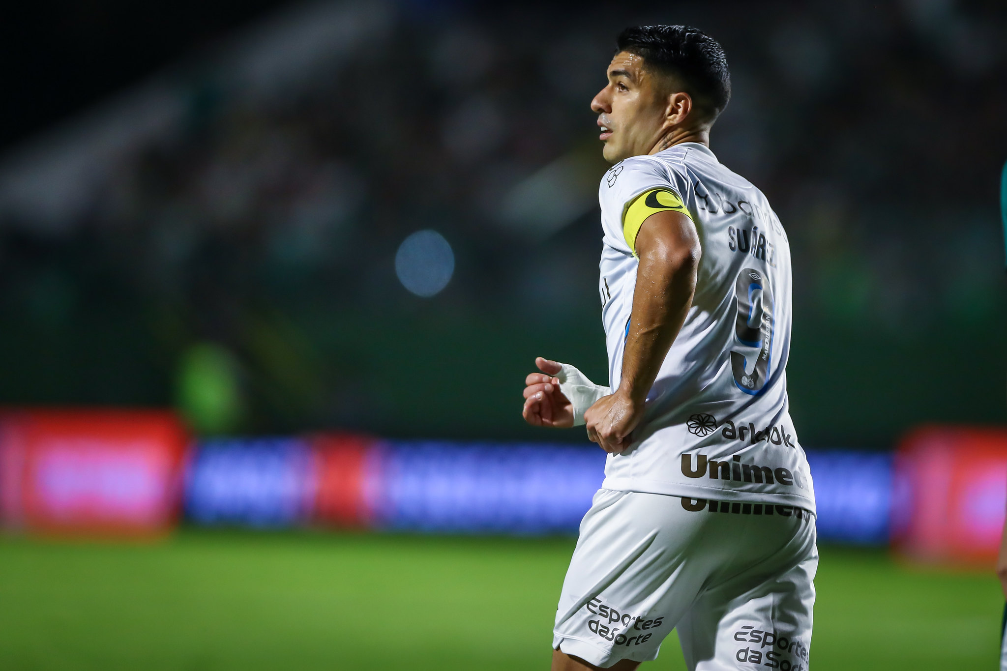 Fluminense x Santos: onde assistir ao jogo de hoje do Brasileirão, Futebol