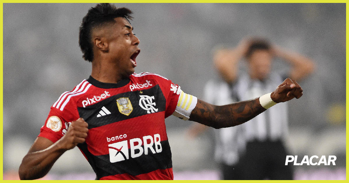 Brasileirão: Flamengo derruba 100% do líder Botafogo no Nilton Santos -  Placar - O futebol sem barreiras para você