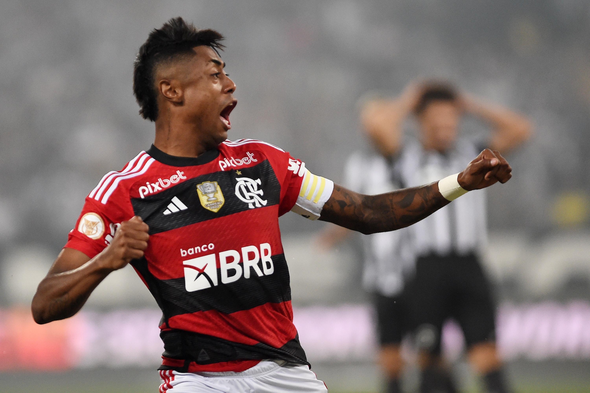 Brasileirão: Flamengo derruba 100% do líder Botafogo no Nilton Santos -  Placar - O futebol sem barreiras para você