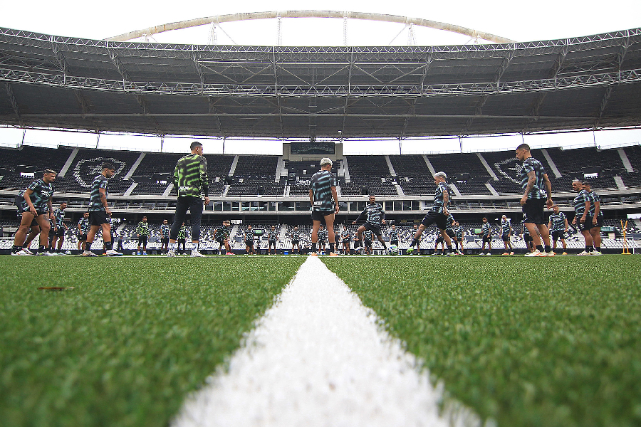 Gramado artificial do estádio Nilton Santos, o 'tapetinho' - Vitor Silva/Botafogo