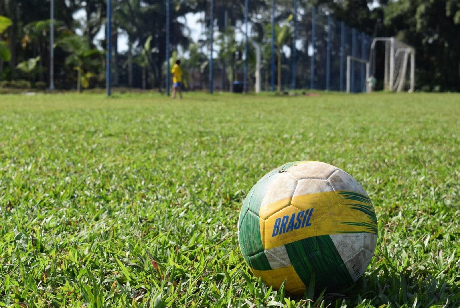 Você Conhece o futebol brasileiro?