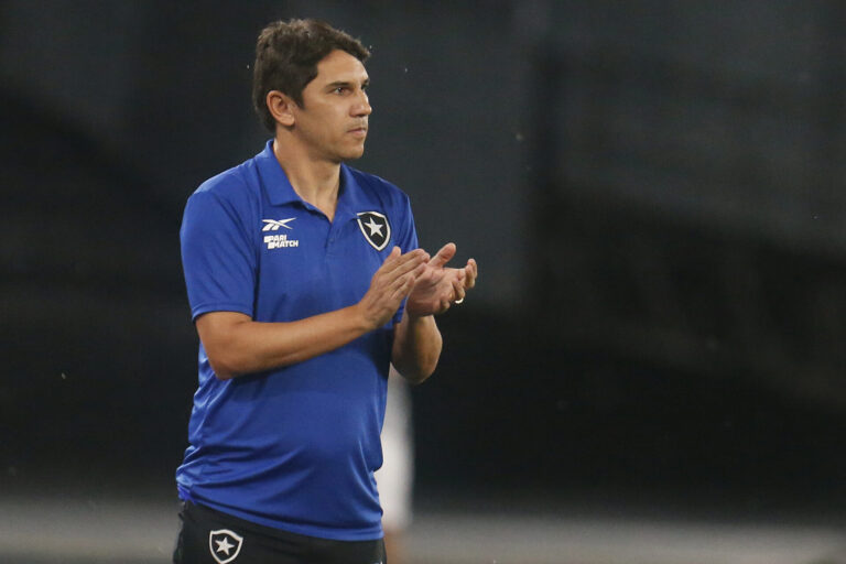 Botafogo tem rendimento de rebaixado no returno