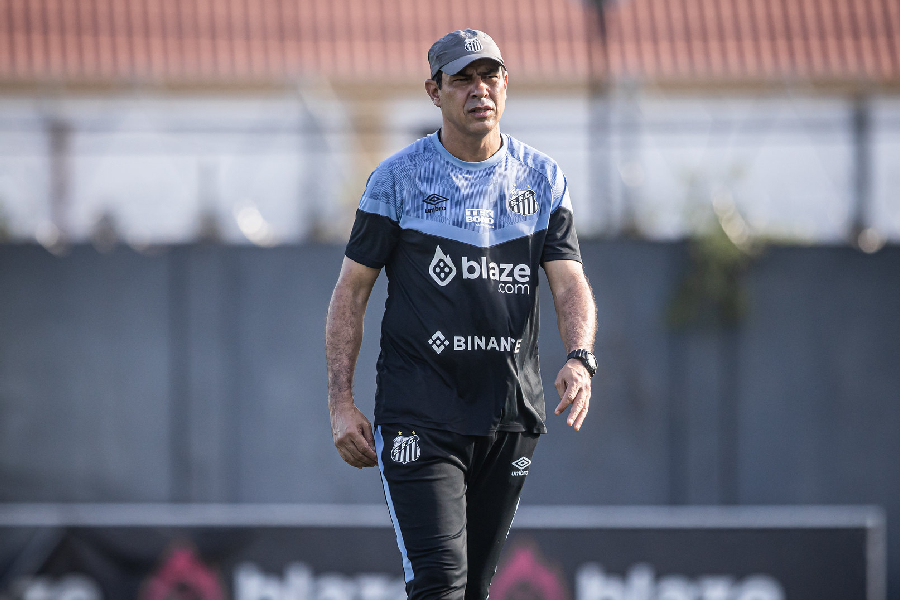 Carille estreará com o Santos no fim de semana - Raul Baretta/Santos FC