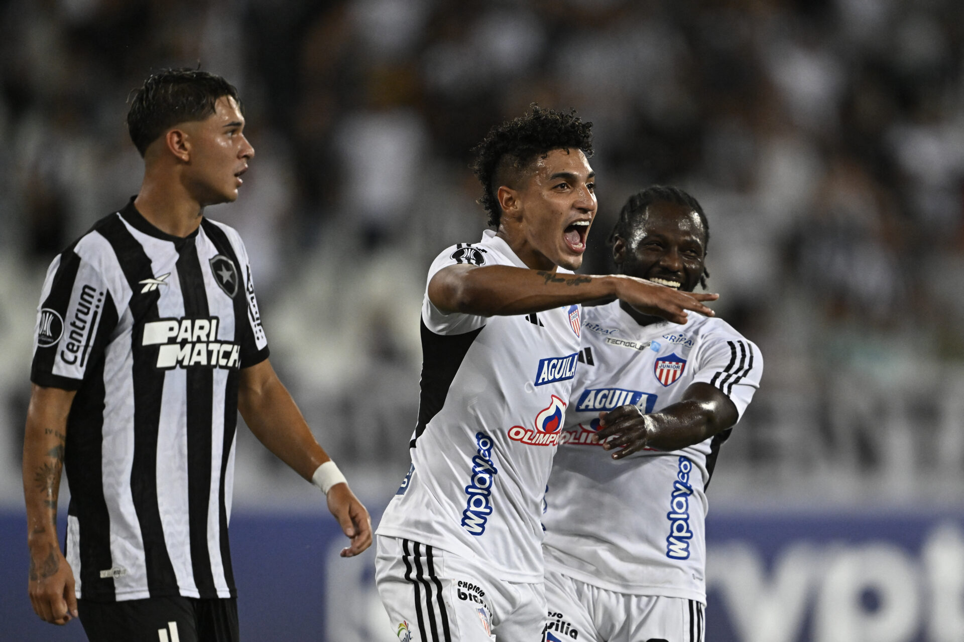 Botafogo perde em casa para o Junior Barranquilla na Libertadores