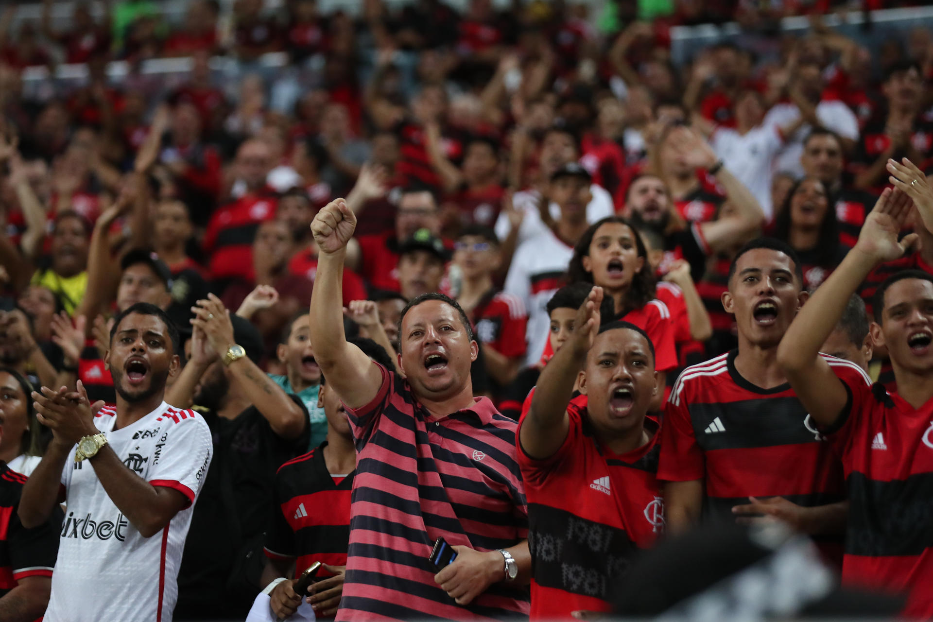 Flamengo tem melhor média de público do Brasil na temporada