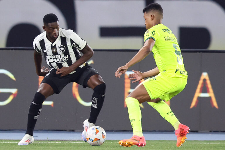 Botafogo controla Palmeiras e leva vantagem para a volta na Libertadores