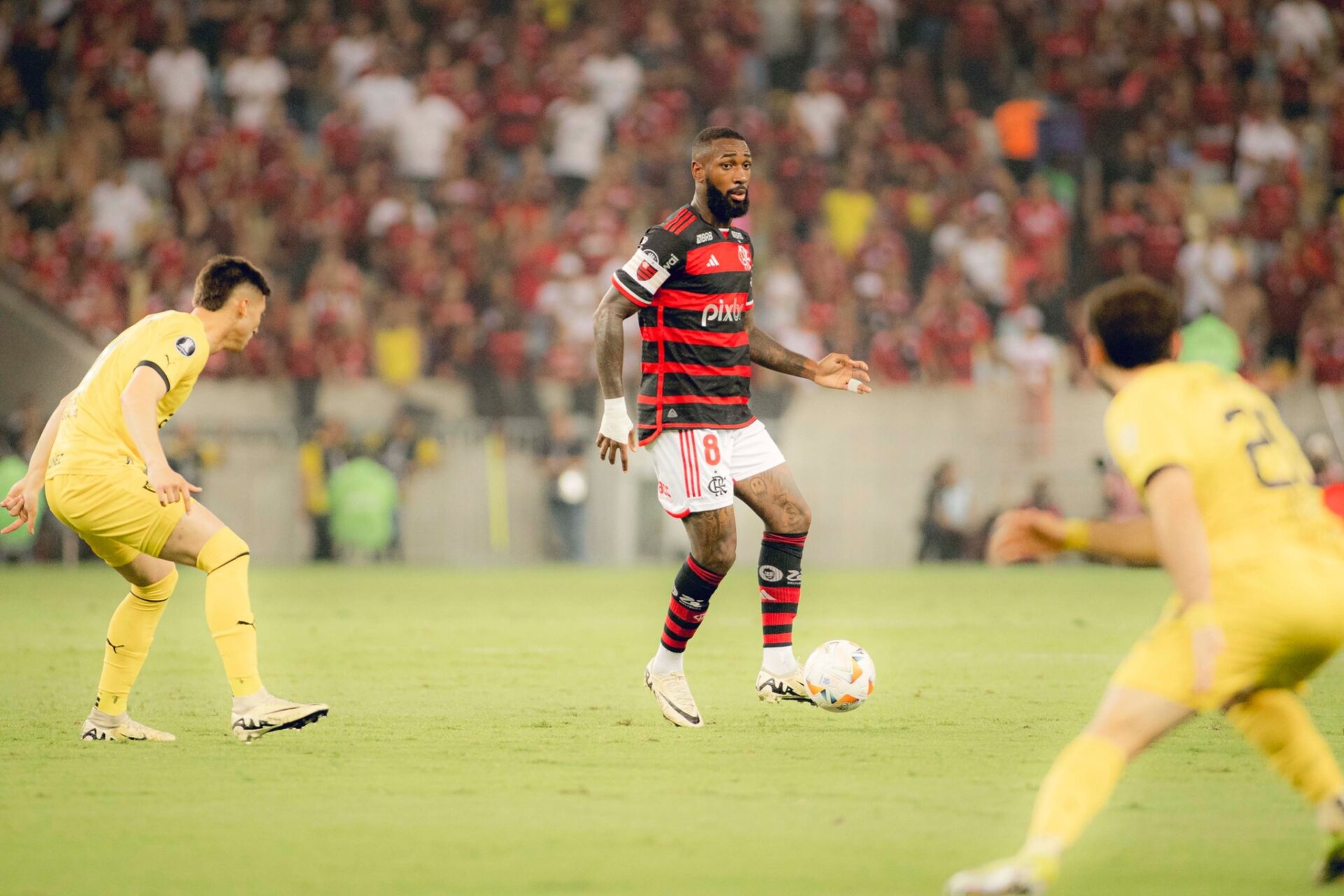 Flamengo, de Gérson, precisa buscar o resultado para seguir vivo no torneio - Divulgação/Flamengo