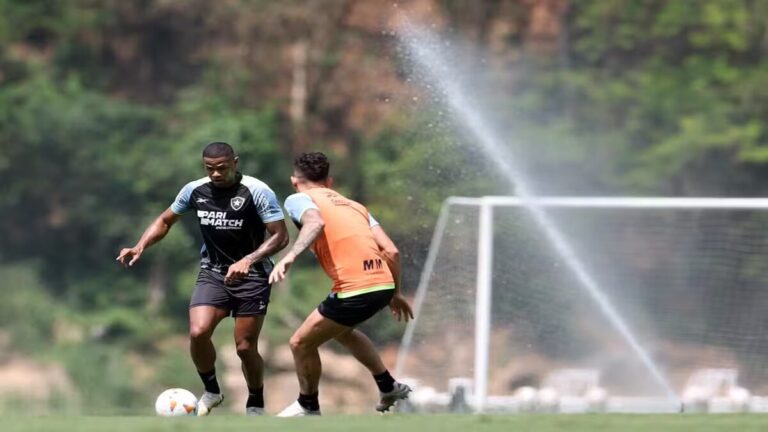 Botafogo conta com retorno de jogadores do departamento médico