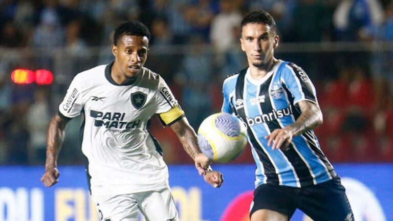 Botafogo x Grêmio: prováveis escalações e onde assistir
