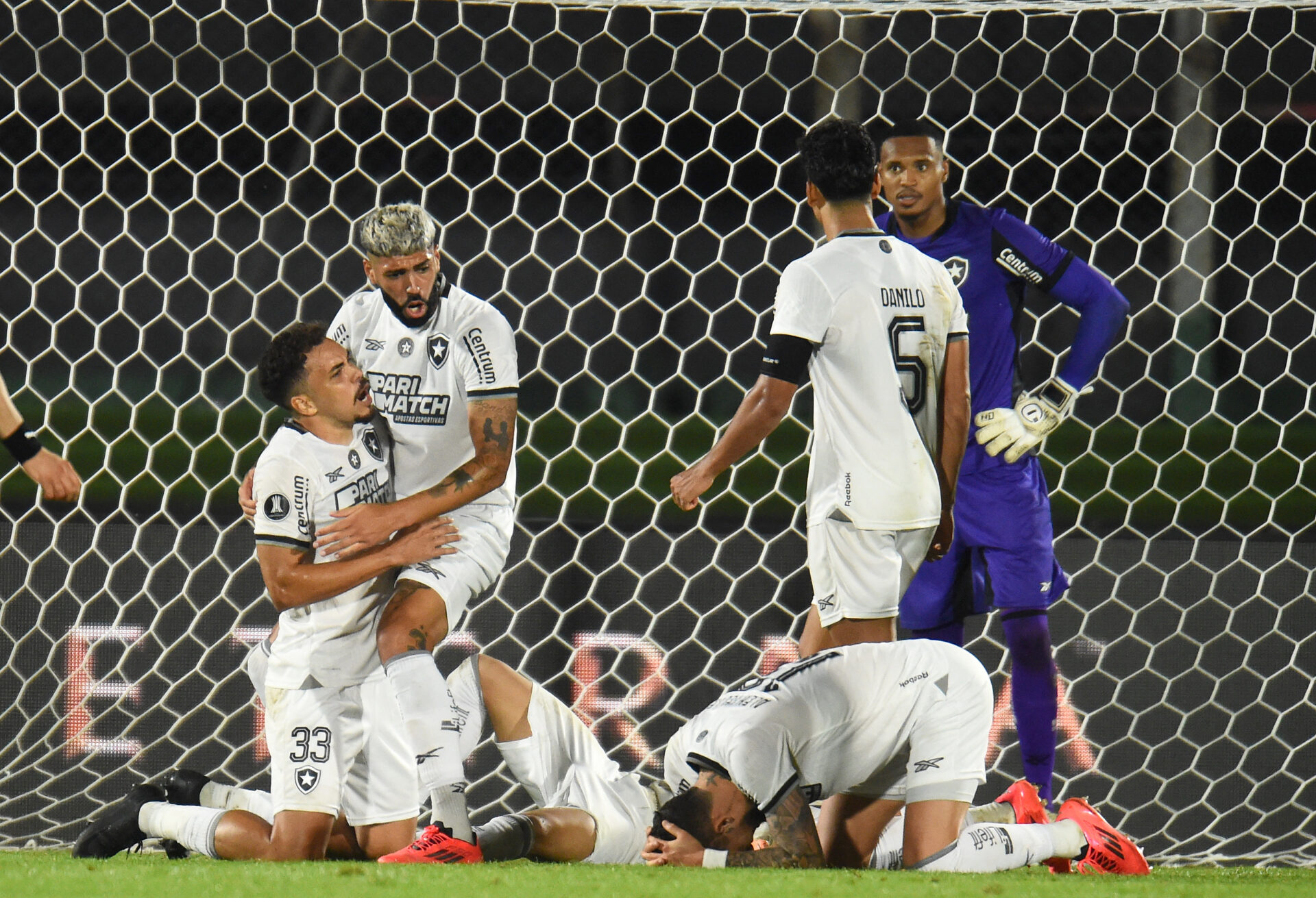 Botafogo perde, mas garante final brasileira inédita na Libertadores