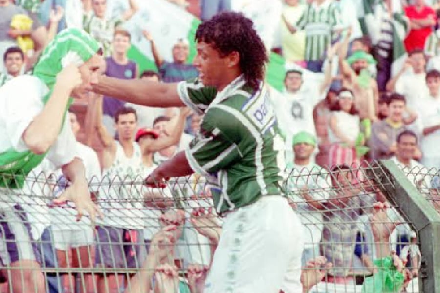 Morre Tonhão, ex-zagueiro do Palmeiras, aos 55 anos