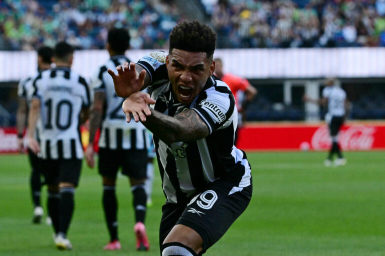 Efeito Mundial faz Bota, Fla, Flu e Palmeiras aumentarem seguidores no Instagram