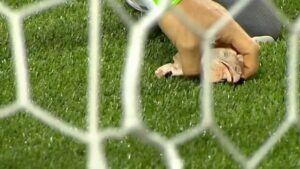 Palmeiras é punido por cantos homofóbicos e arremesso de objetos em dérbi