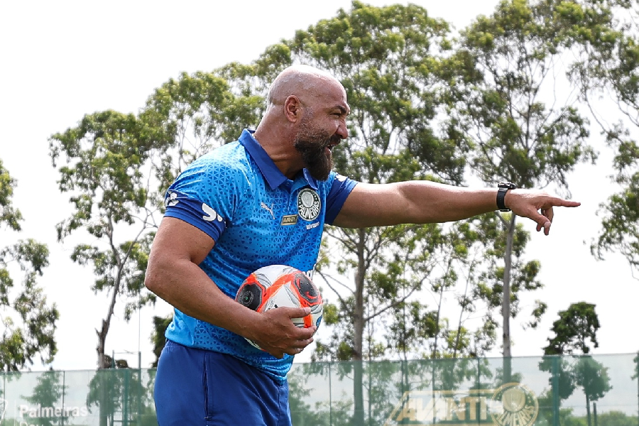 Rogério Godoy, Palmeiras