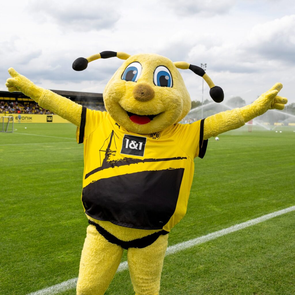Reprodução Borussia Dortmund