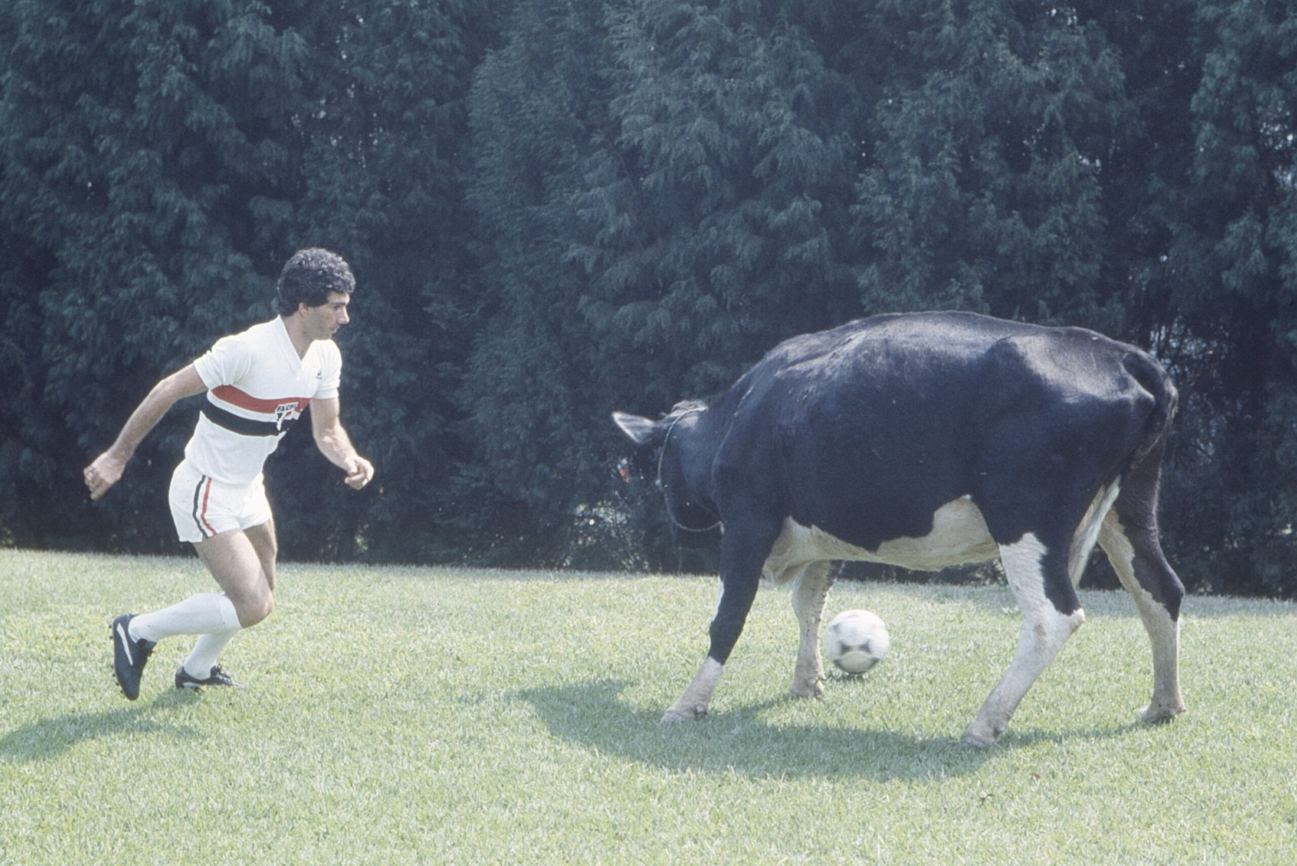 Explorando o Abecedário do Futebol: Significados e Curiosidades